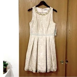 Brand New With Tags Eliza J Lace Embellished Dress Size 12